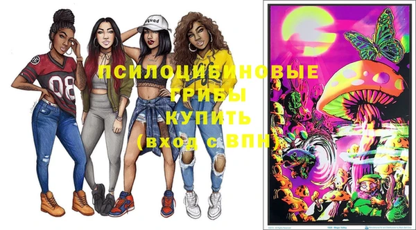 хмурый Новодвинск