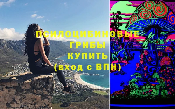 прущая мука Новозыбков