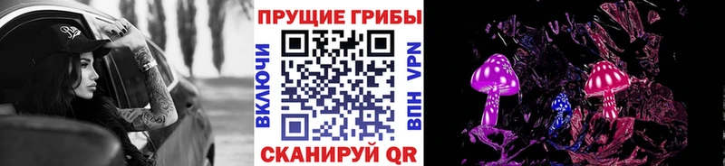 Купить где  Грозный  Псилоцибиновые грибы ЛСД 